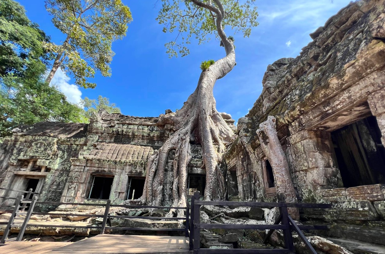 Ta Prohm